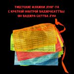 Лунгта с мантрой Ваджрасаттвы, 20 флажков 24х14 см