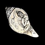 Раковина резная для подношения, Будда Вайрочана, 10 см