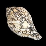 Раковина резная для подношения, Ваджраварахи, 10 см